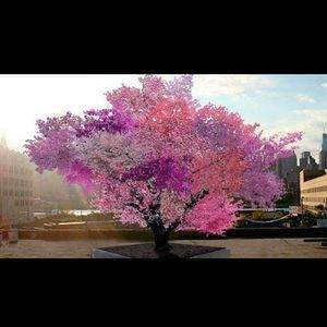 Meet your Posher, Joey